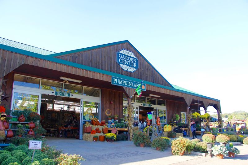 Visitor Tips To Make The Most Of Your Day