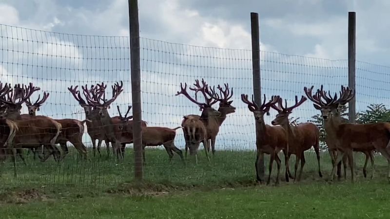 Photo Opportunities Come Naturally Here