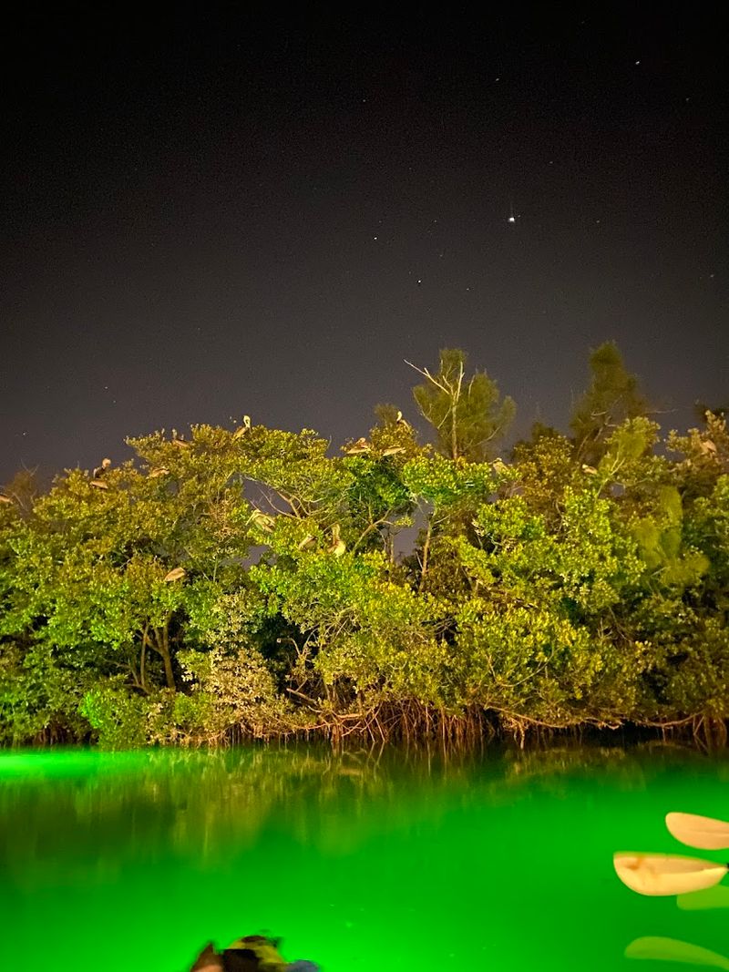 Visitor Info and Tips for the Best Experience