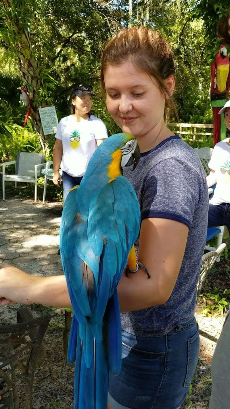 Home to Hundreds of Rescued Exotic Birds