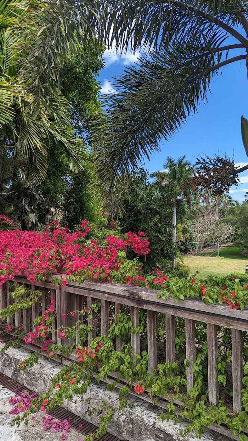 Visitor Info and Tips for Exploring The Kampong