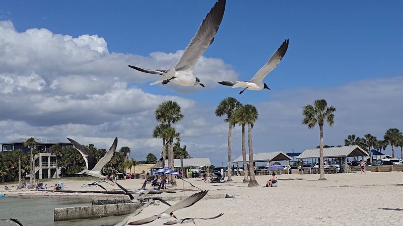 Affordable Alternative to Popular Gulf Destinations