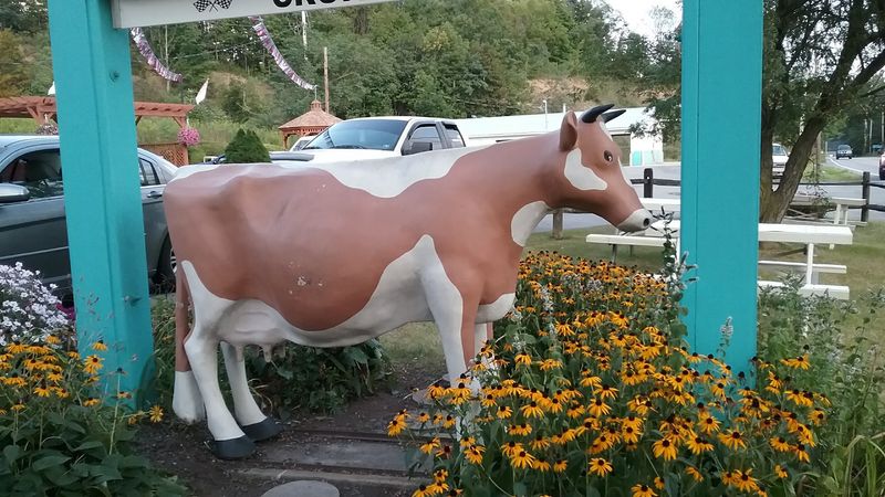 The Giant Cow That Started It All