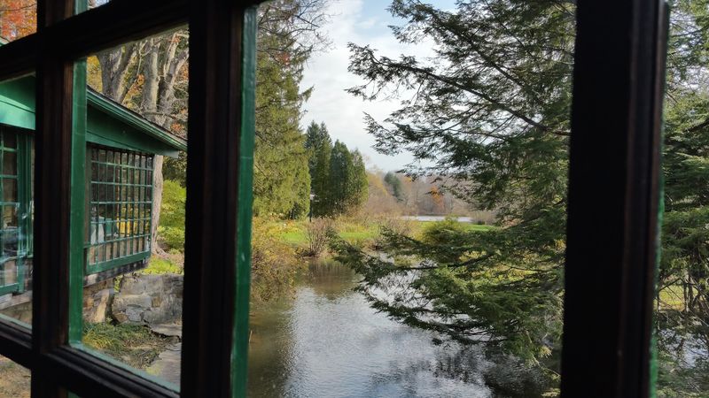 Forested and Lakeside Views from Every Angle