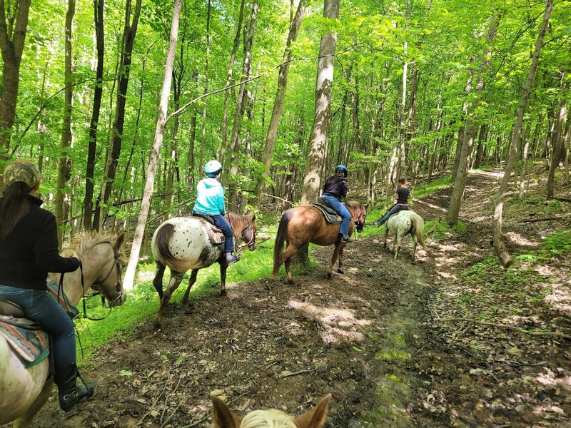 Guided Trail Rides Through Stunning Woodland Terrain