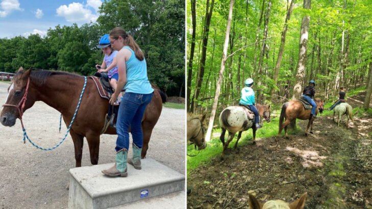 A Rustic Ohio Ranch Offers Horseback Riding, Cabin Stays, And Plenty Of Country Charm