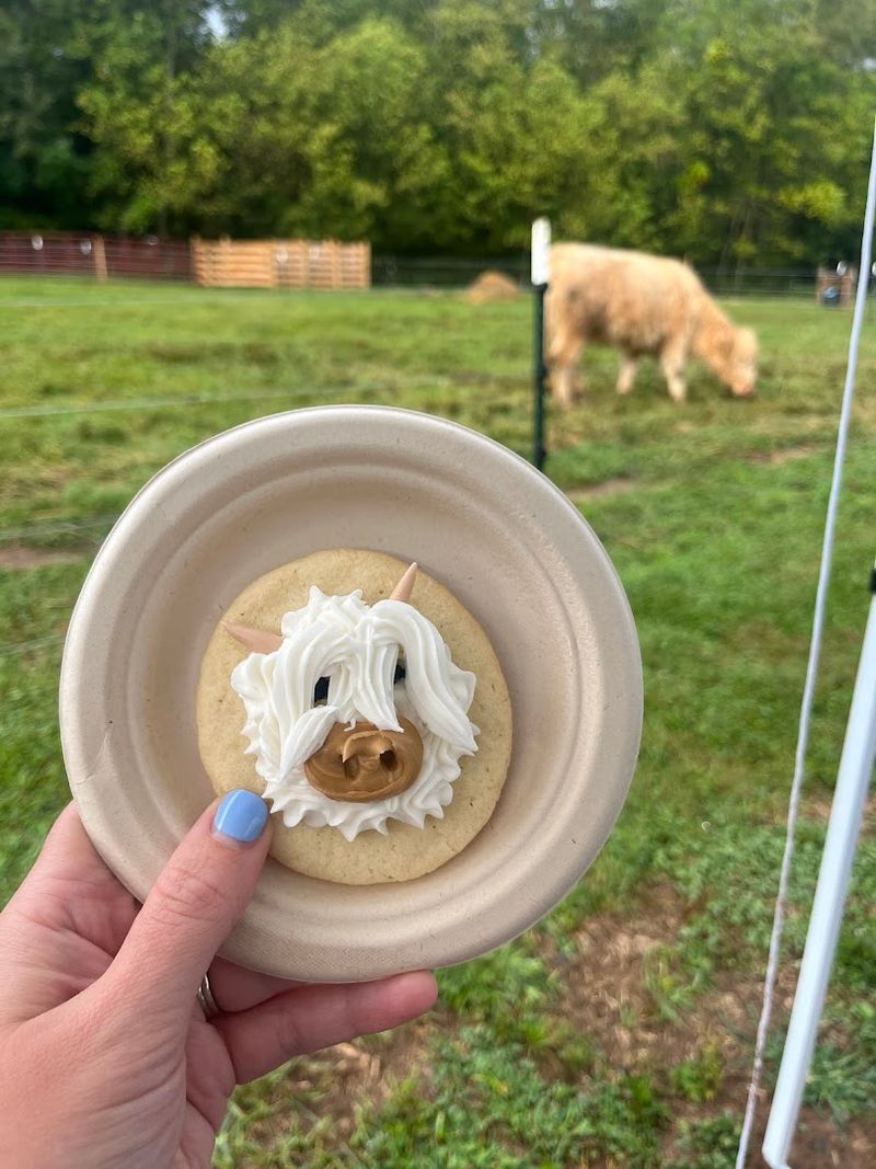 Seasonal Events and Unique Experiences