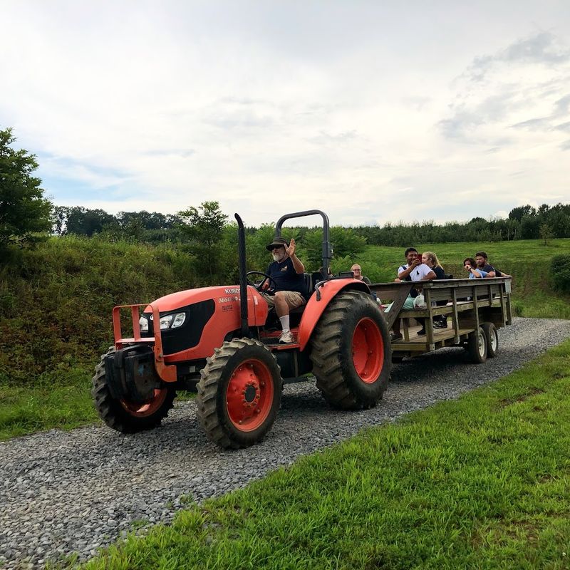 Tractor Tours Through The Orchard