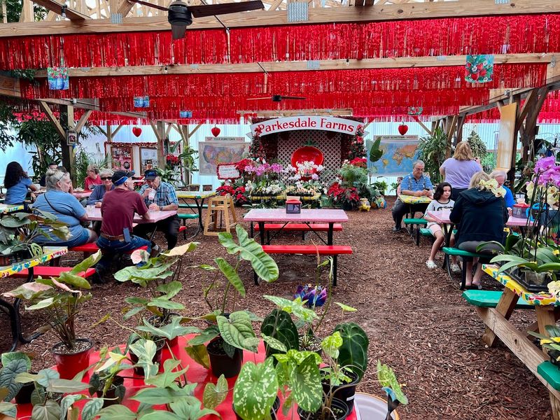 Picnic Grounds Perfect For Family Gatherings