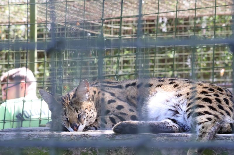 A Strict No-Breeding, No-Selling Policy