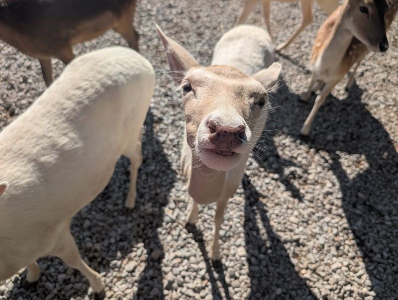 Why People Keep Coming Back Year After Year