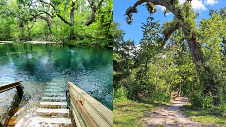 A Simple Forest Trail Leads To Sinkholes, Blue Springs, And Underwater Caves At This Florida State Park
