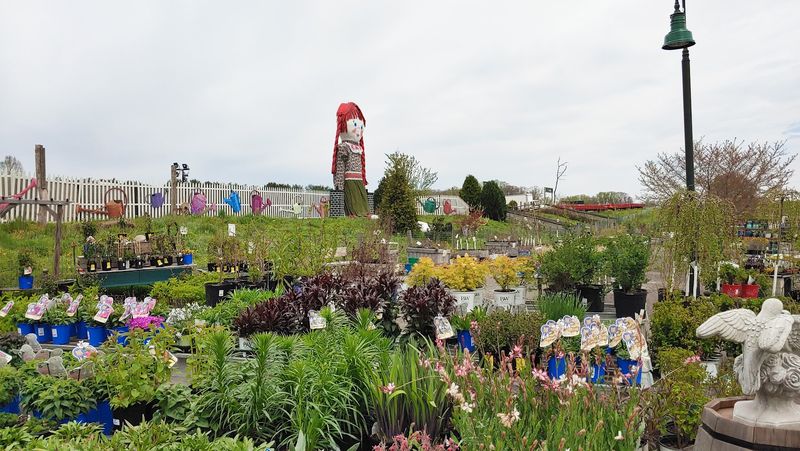 A 300-Acre Family Farm With Deep Local Roots