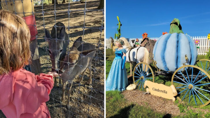 A Spring Visit To This Pennsylvania Orchard Comes With Hayrides, Barnyard Animals, And Fresh Market Treats