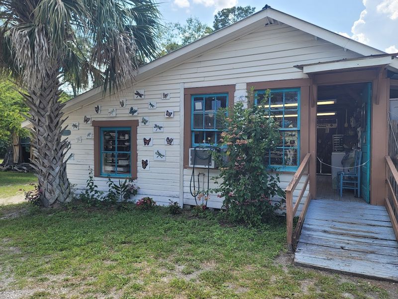 Original Pioneer Cabins That Tell Stories of Early Florida Life