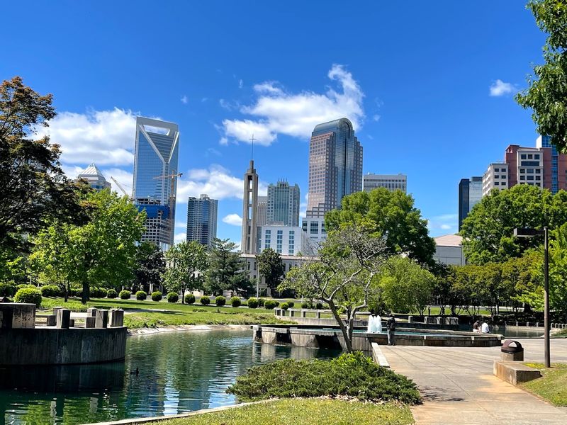 The Charlotte Connection