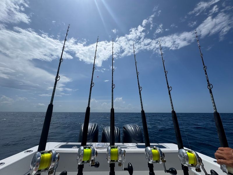 Sailfish Capital of the World Reputation