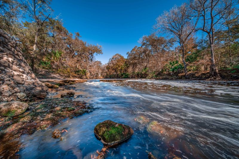 The Steinhatchee River and Its Wild, Winding Beauty