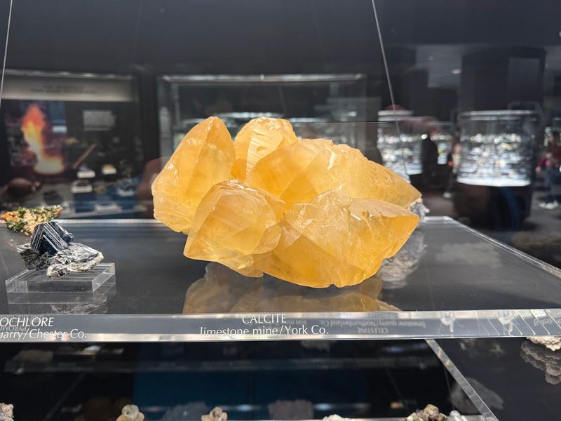 Origins of the Collection