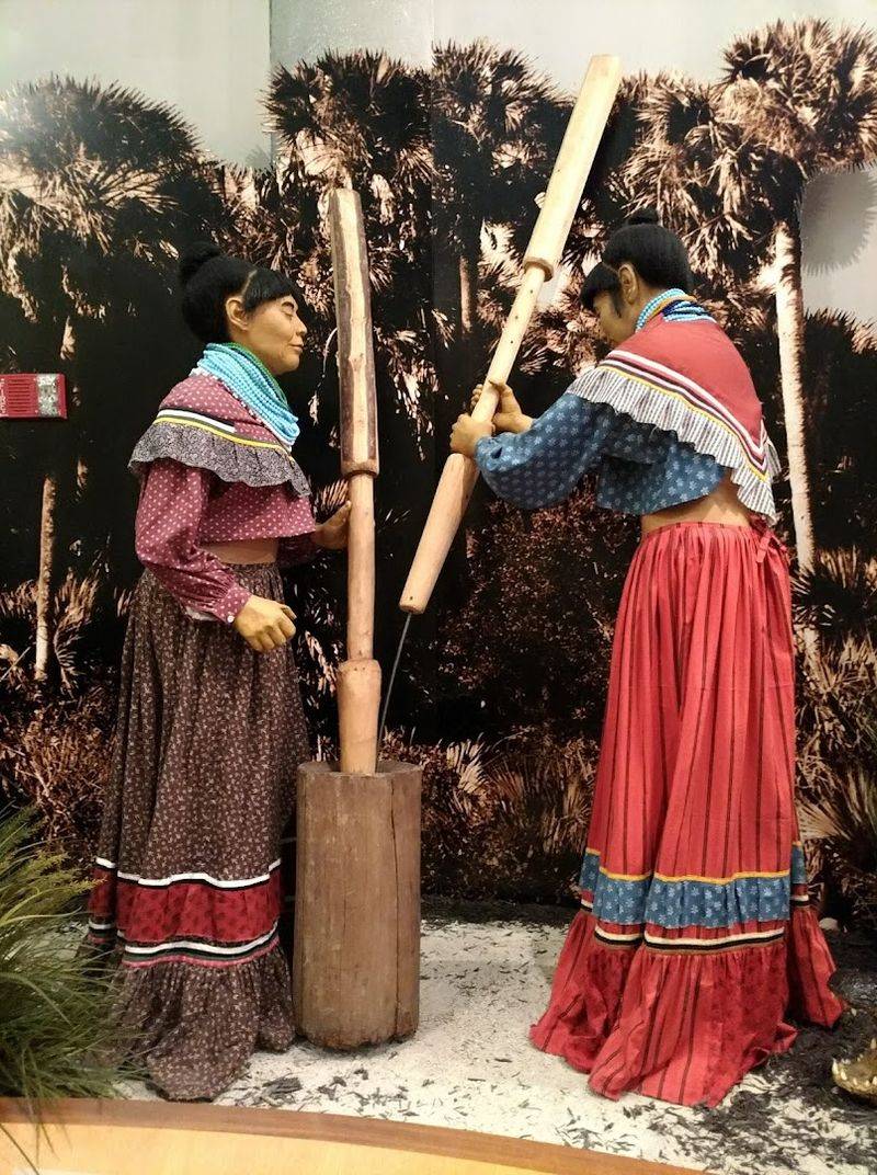 Massive Collection of Seminole History