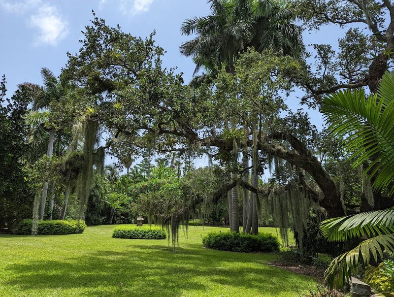 A Hidden Tropical Garden on Biscayne Bay