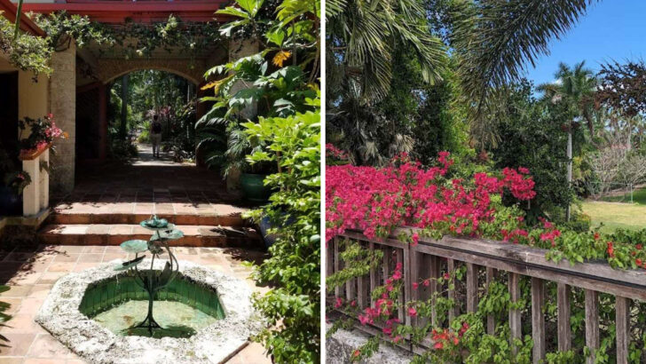 A Tropical Garden in Florida Has Over 2,000 Exotic Plants Brought Home by a Plant Explorer Who Traveled the World