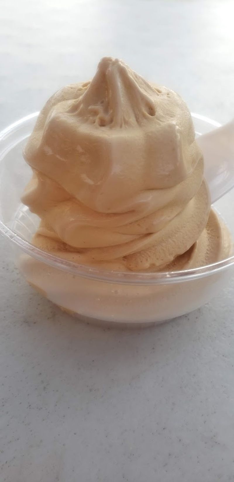 Visitor Info and Tips