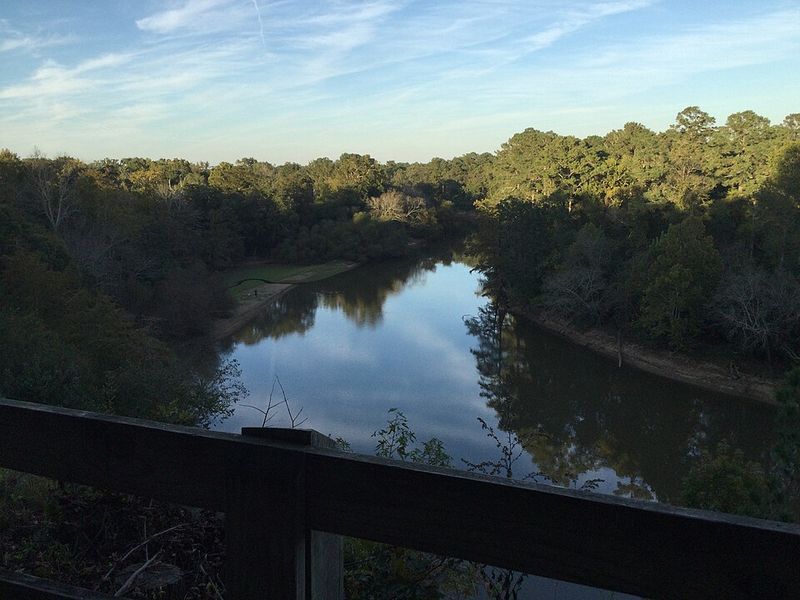 Part of a Much Bigger Trail Network
