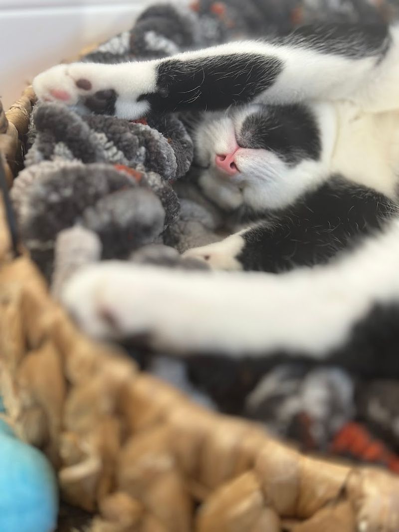 Visitor Info and Tips