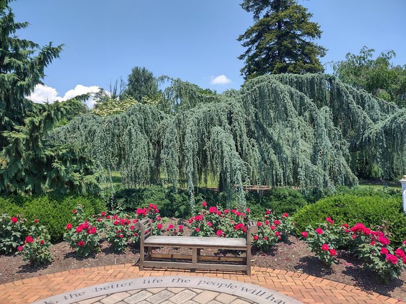 Visitor Information and Tips