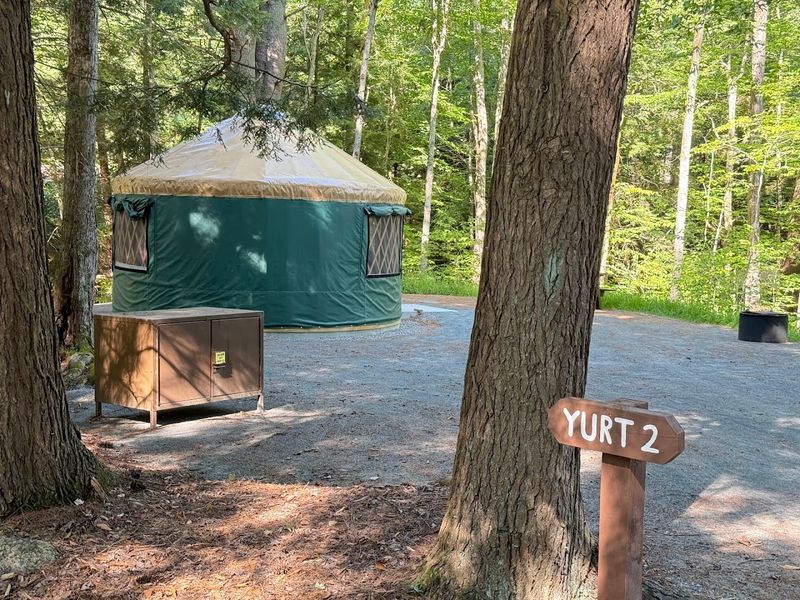 Arrival Strategy and First-Night Game Plan