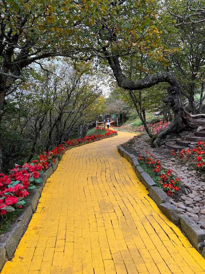 The Yellow Brick Road Experience