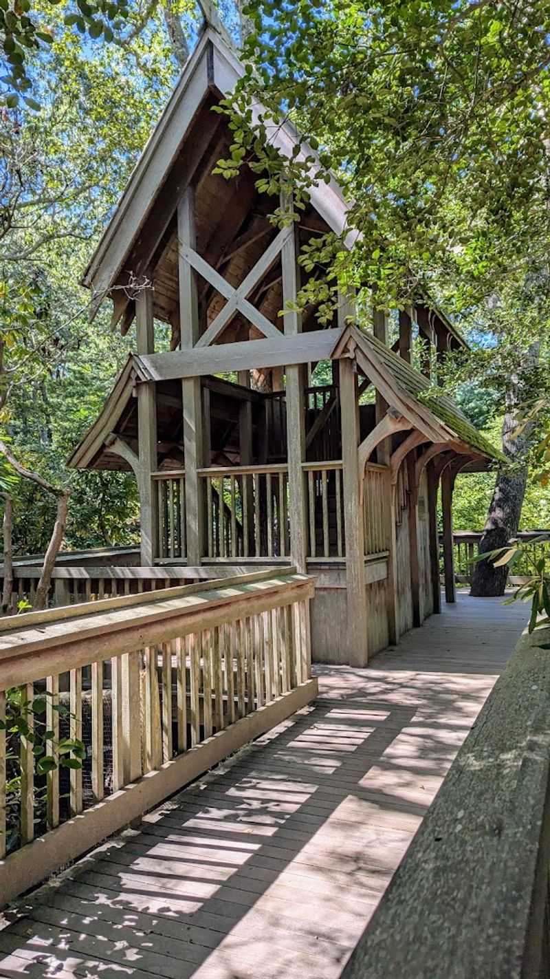 Hidden Hollow and Outdoor Family Play