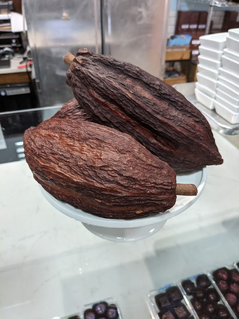 The Journey Starts with Carefully Sourced Cacao Beans