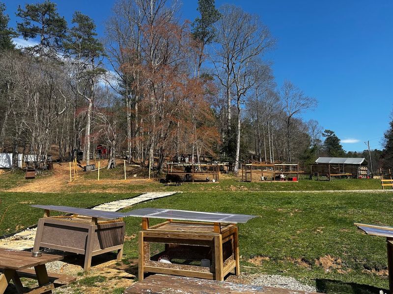 History and Family Roots