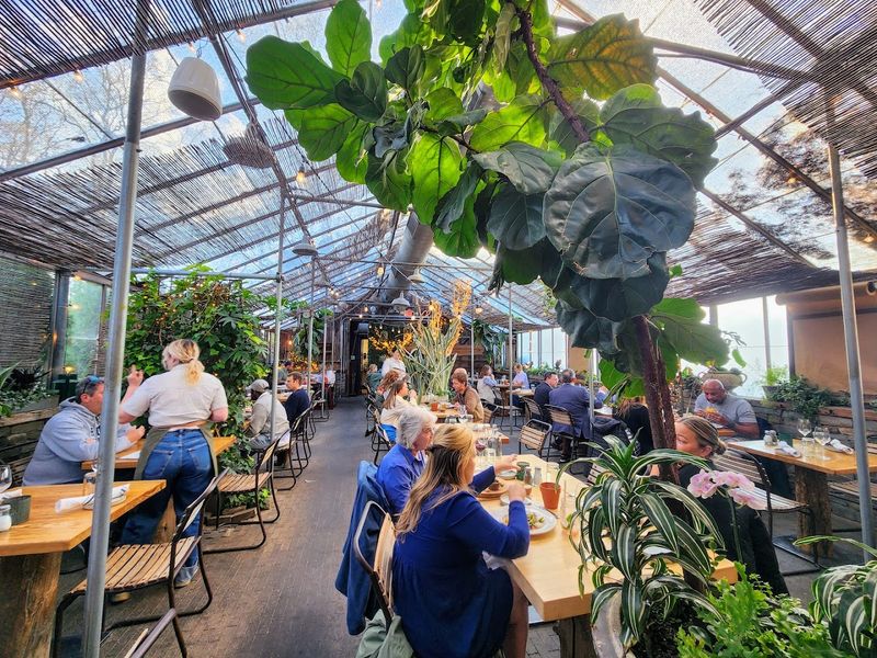 Visitor Information and Tips