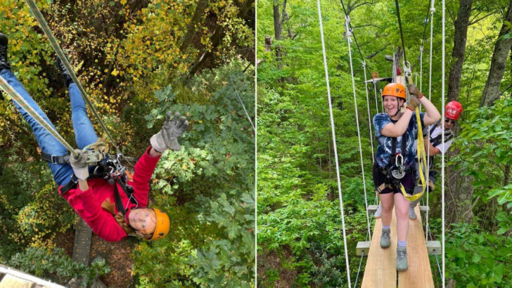 A Zipline in North Carolina Drops 1,100 Vertical Feet Down the Steepest Canopy Course in America