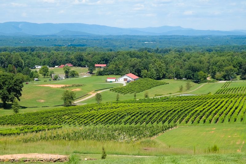 Set in the rolling beauty of Yadkin Valley
