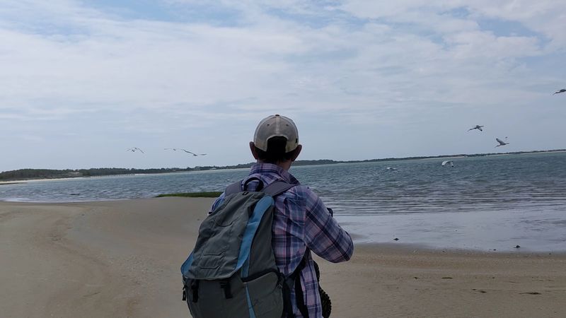 Birding and Wildlife Watching