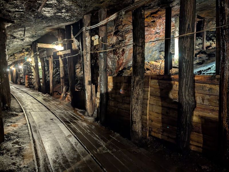 Seasonal Operation and What to Know Before You Go