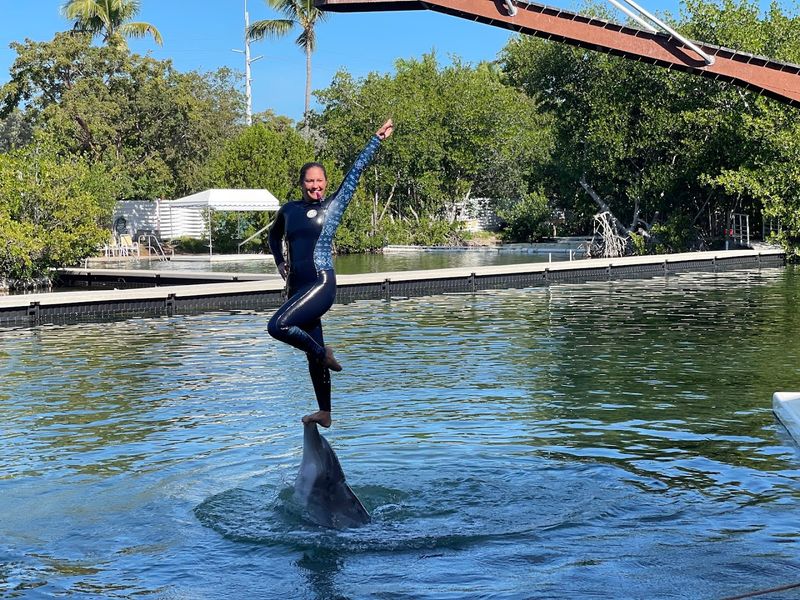 Tickets, Timing, And Budgeting