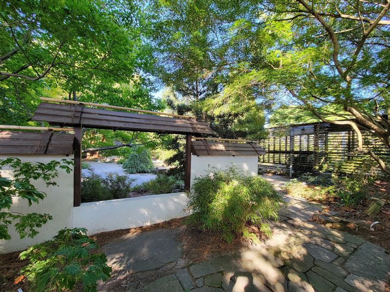 Plant Sale Finds and The Plant Stand