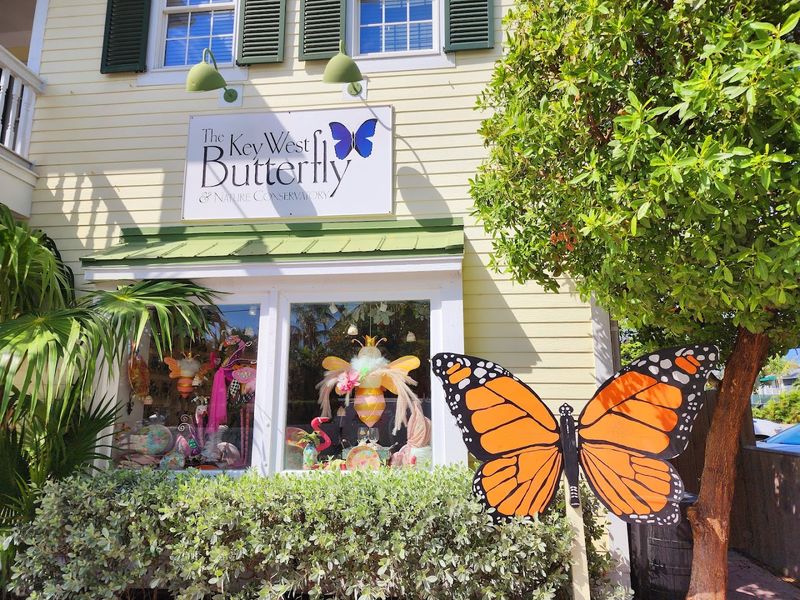 Ticketing, Discounts, and Timing