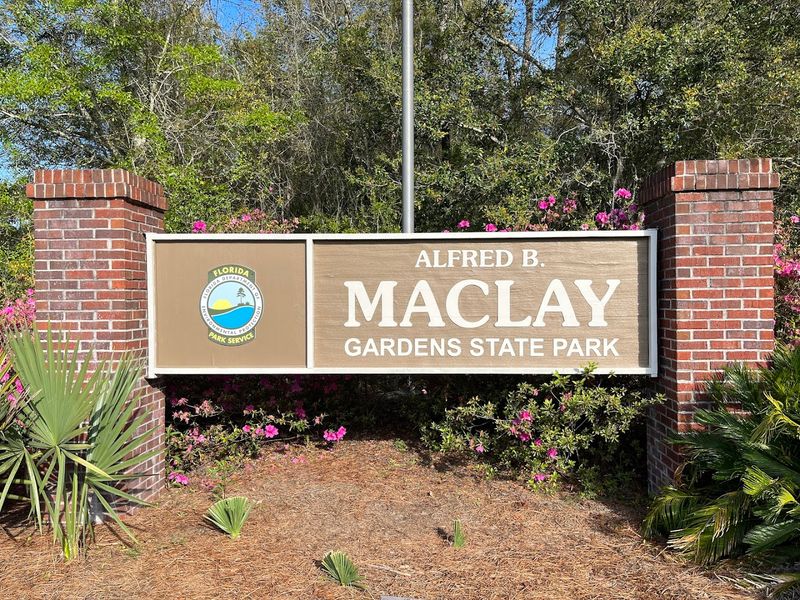 Practical Info: Fees, Hours, and Etiquette