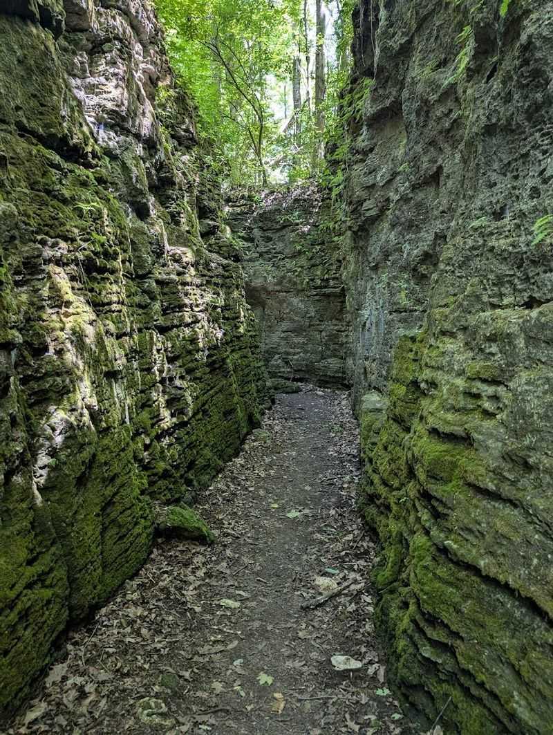 The Gorge Trail and Its Otherworldly Atmosphere