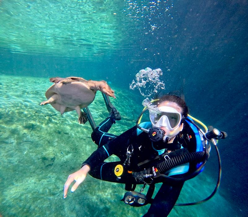 Best Times to Visit for Optimal Experience