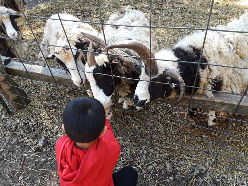 Clean Grounds Make the Visit Easier to Enjoy