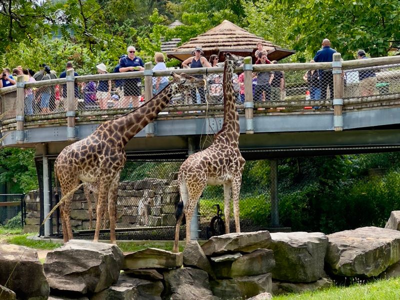 Cleveland Metroparks Zoo - Easter Eggsperience & Brunch
