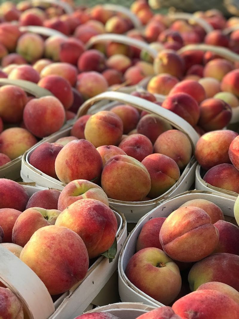 DJ's Berry Patch (Apex)