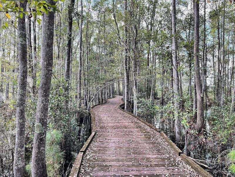 The Boardwalk Trail Experience